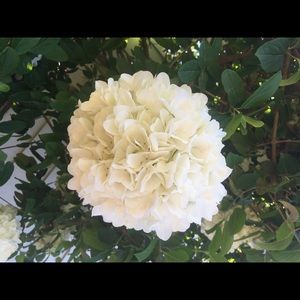 Meet your Posher, Bailee